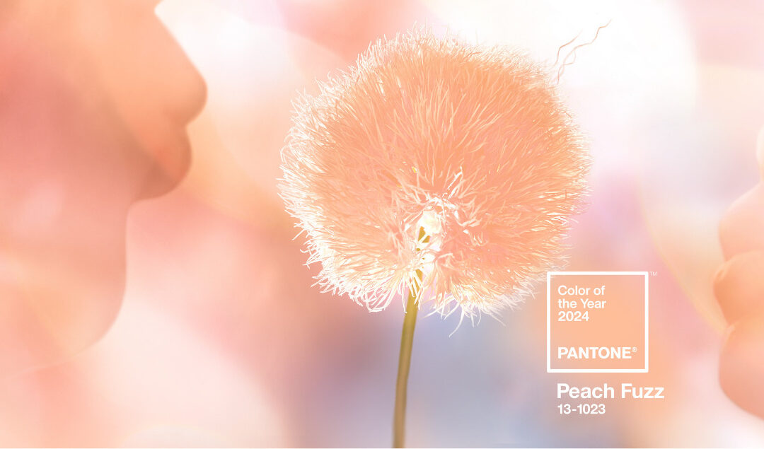 Trendsetting Hues: Product Picks for Pantone’s 2024 Color of the Year